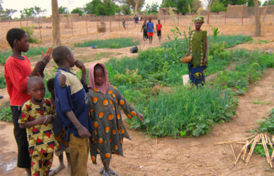 Community garden in Niana-Sobala